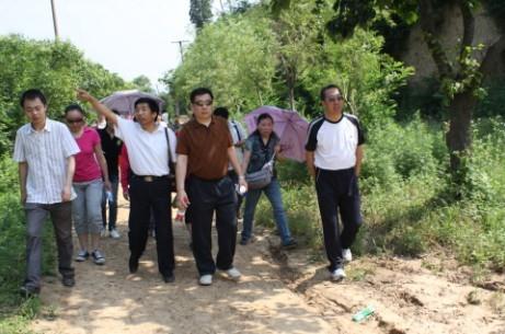 ̫���ǹ���(�й�)�������޹�˾