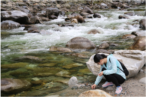 ̫���ǹ���(�й�)�������޹�˾