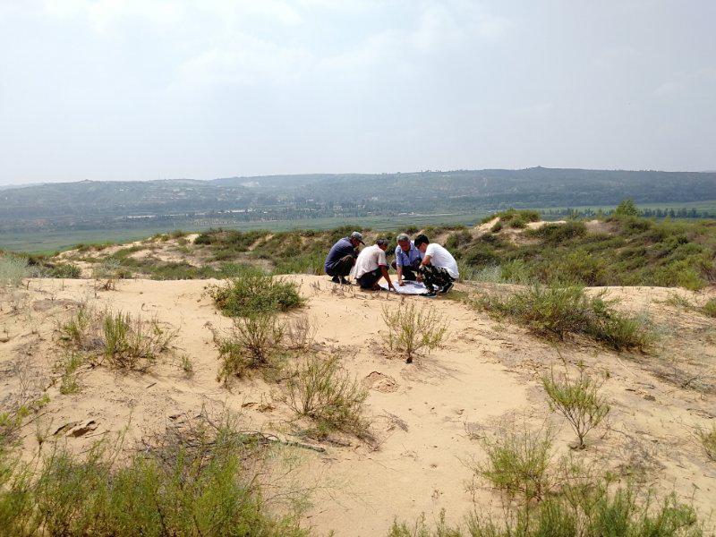 ̫���ǹ���(�й�)�������޹�˾