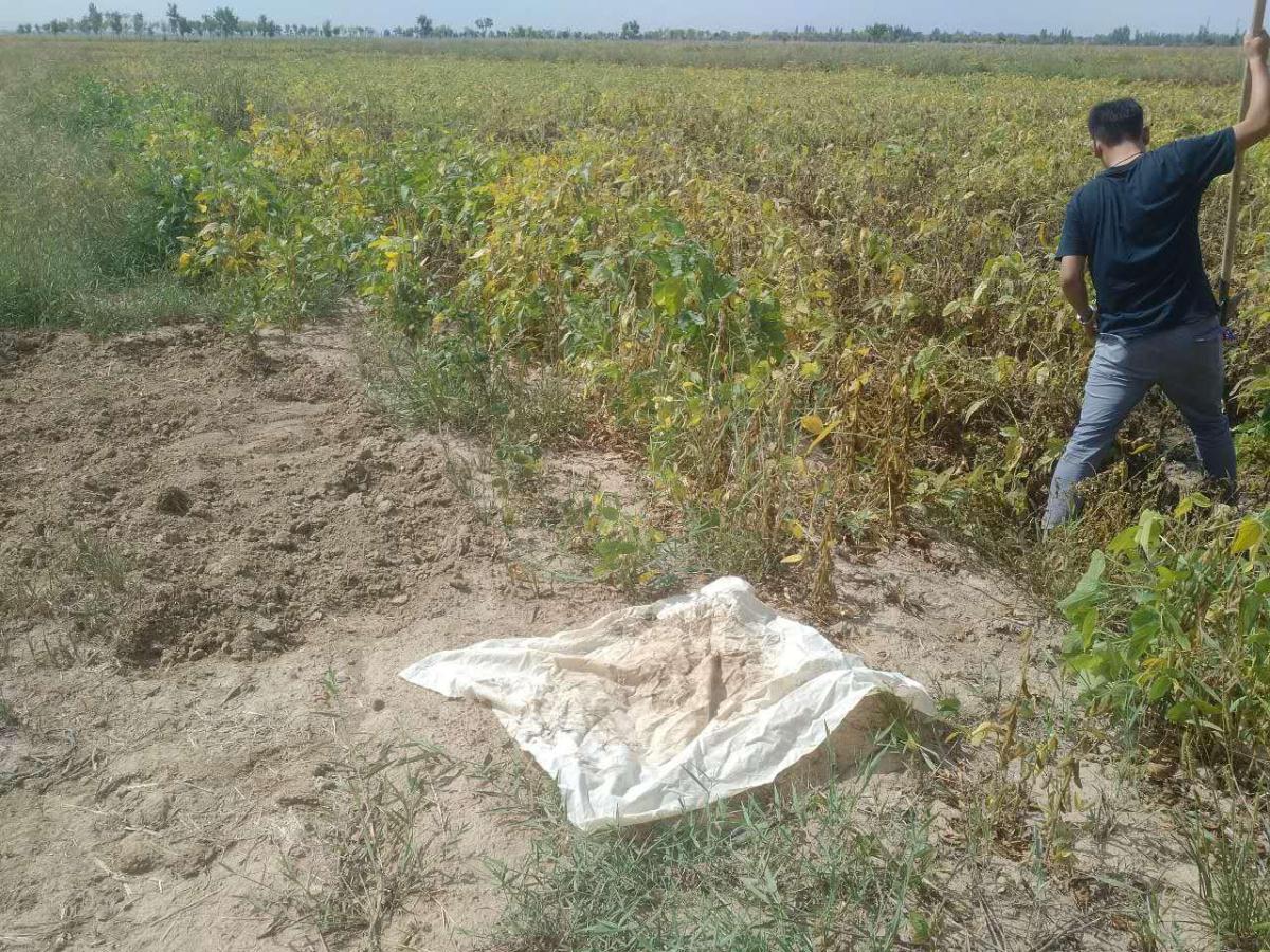 ̫���ǹ���(�й�)�������޹�˾