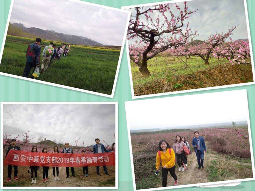 ̫���ǹ���(�й�)�������޹�˾