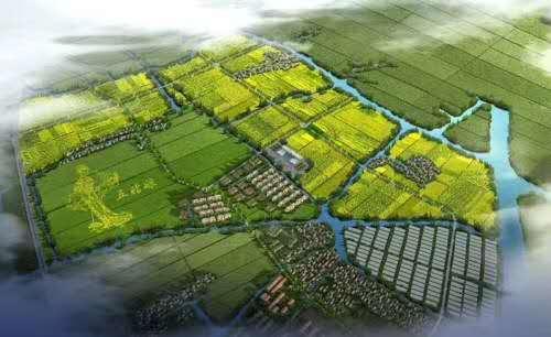 ̫���ǹ���(�й�)�������޹�˾