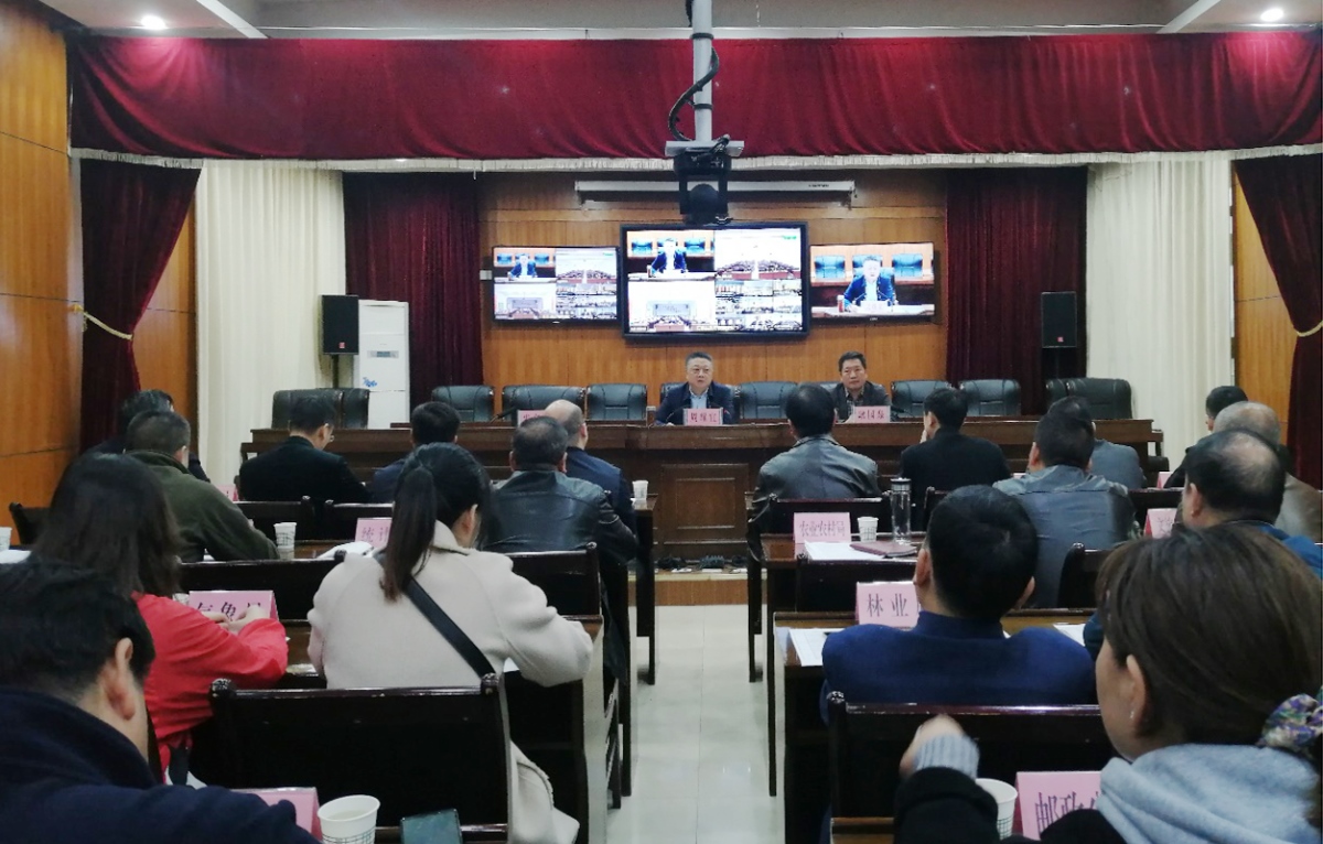 ̫���ǹ���(�й�)�������޹�˾