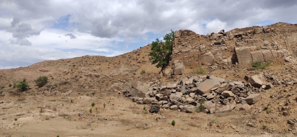 ̫���ǹ���(�й�)�������޹�˾