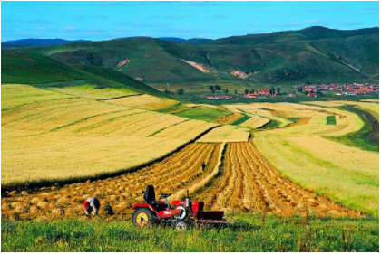 ̫���ǹ���(�й�)�������޹�˾