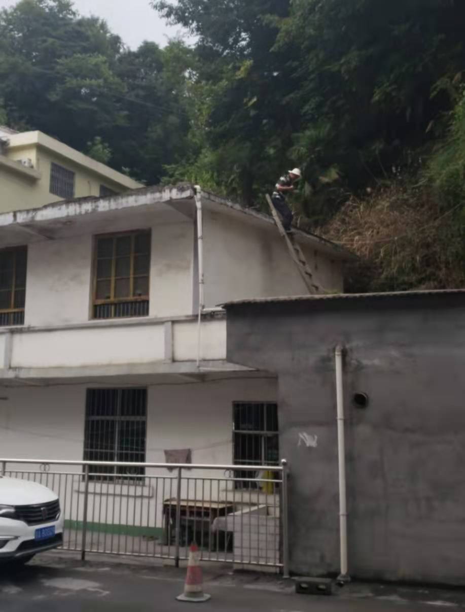 ̫���ǹ���(�й�)�������޹�˾