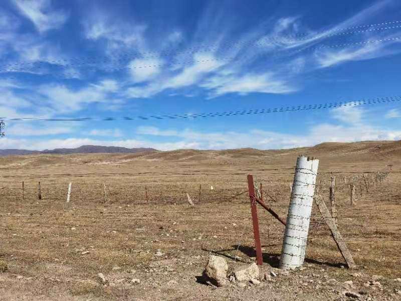 ̫���ǹ���(�й�)�������޹�˾