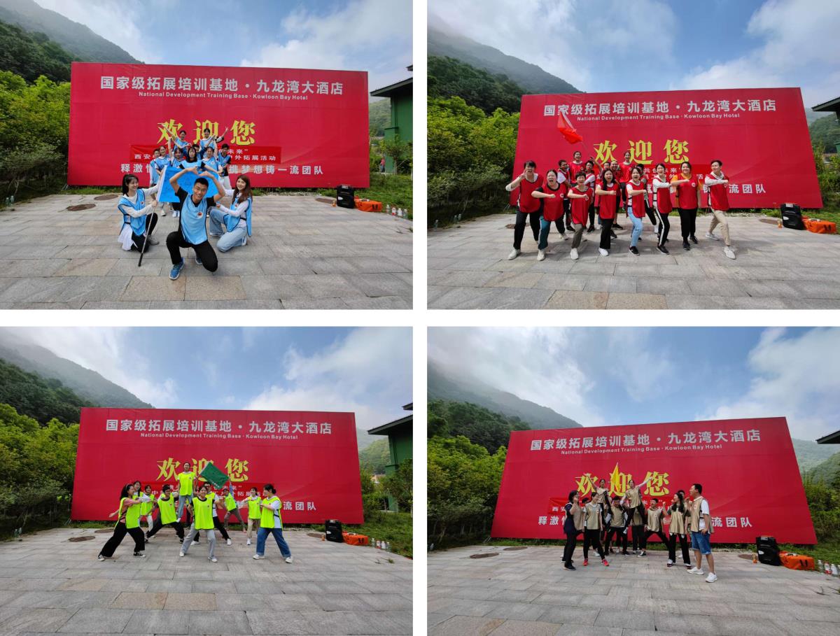 ̫���ǹ���(�й�)�������޹�˾