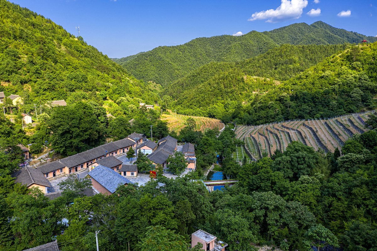 ̫���ǹ���(�й�)�������޹�˾