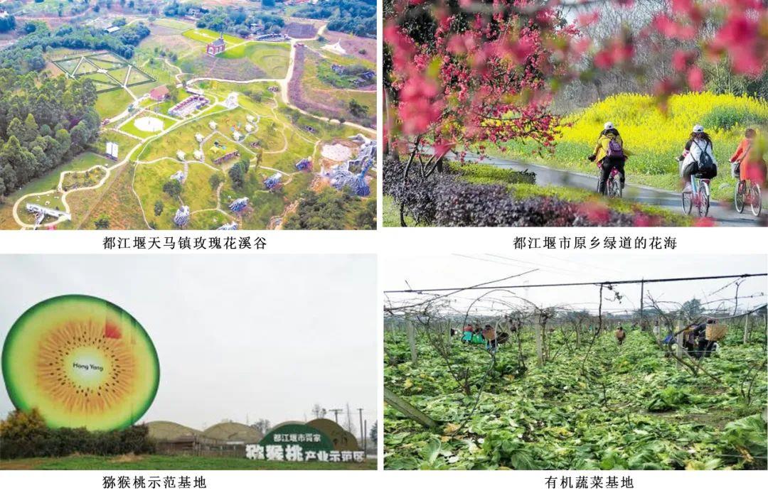 ̫���ǹ���(�й�)�������޹�˾