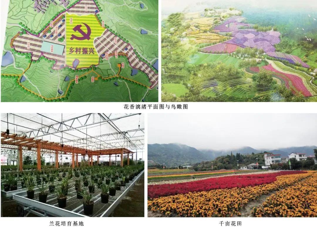 ̫���ǹ���(�й�)�������޹�˾