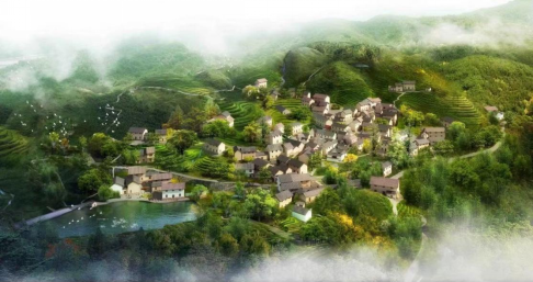 ̫���ǹ���(�й�)�������޹�˾