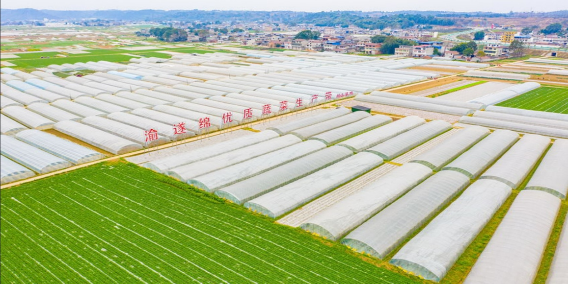 ̫���ǹ���(�й�)�������޹�˾