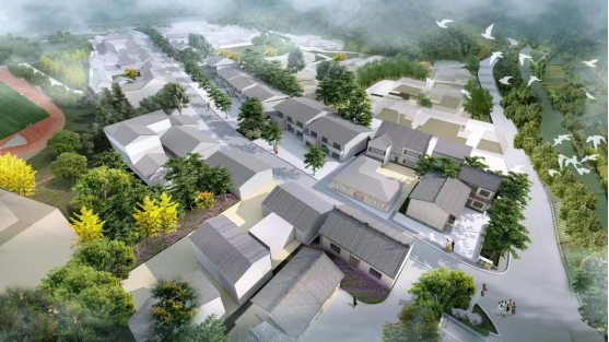 ̫���ǹ���(�й�)�������޹�˾