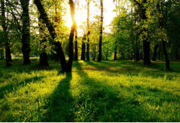 ̫���ǹ���(�й�)�������޹�˾