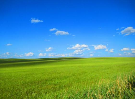 ̫���ǹ���(�й�)�������޹�˾