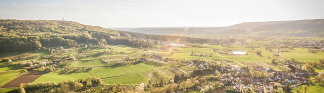 ̫���ǹ���(�й�)�������޹�˾