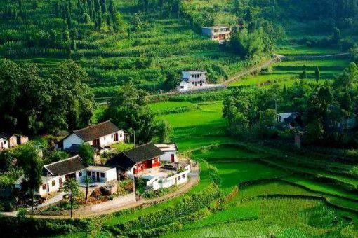 ̫���ǹ���(�й�)�������޹�˾