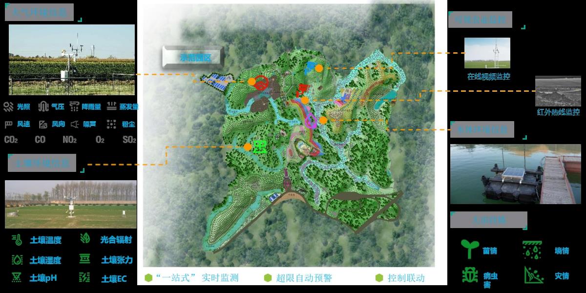 ̫���ǹ���(�й�)�������޹�˾