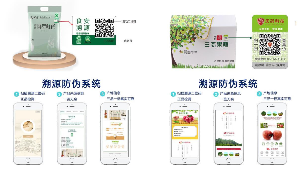 ̫���ǹ���(�й�)�������޹�˾