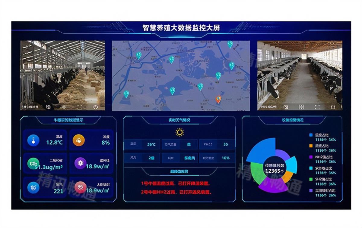 ̫���ǹ���(�й�)�������޹�˾