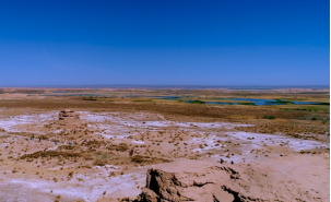 ̫���ǹ���(�й�)�������޹�˾