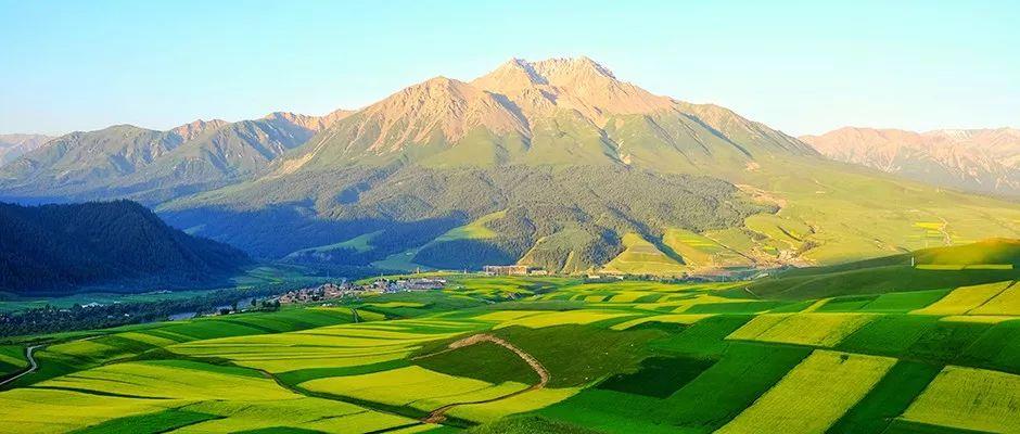 ̫���ǹ���(�й�)�������޹�˾