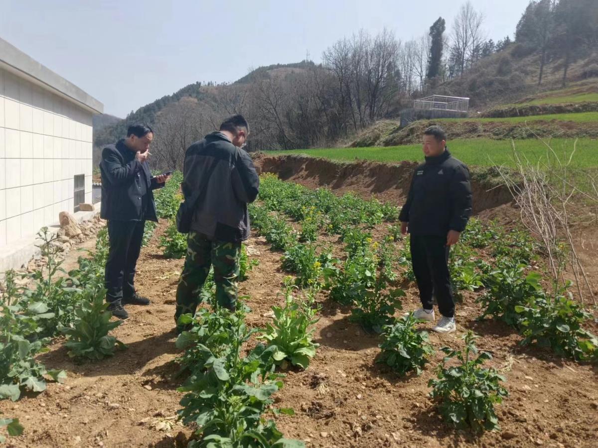 ̫���ǹ���(�й�)�������޹�˾