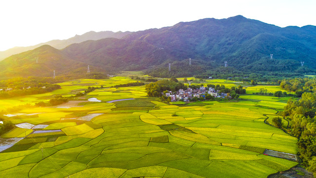 ̫���ǹ���(�й�)�������޹�˾