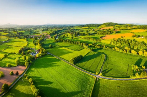 ̫���ǹ���(�й�)�������޹�˾