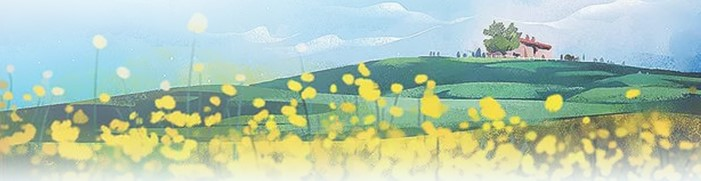 ̫���ǹ���(�й�)�������޹�˾