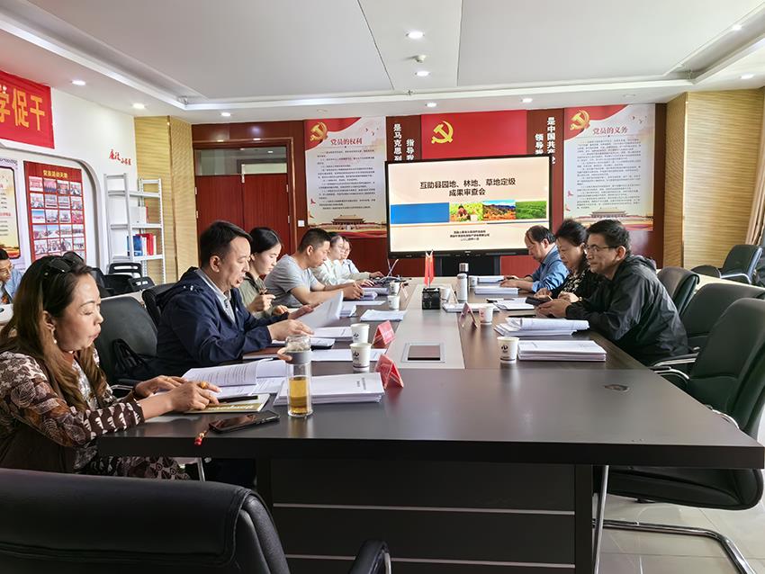 ̫���ǹ���(�й�)�������޹�˾