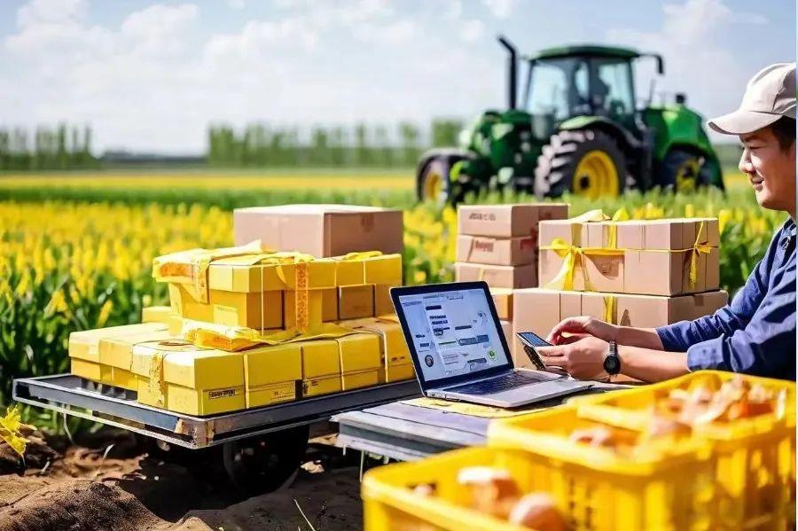 ̫���ǹ���(�й�)�������޹�˾