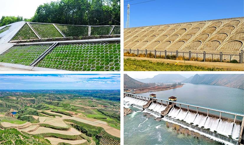 ̫���ǹ���(�й�)�������޹�˾