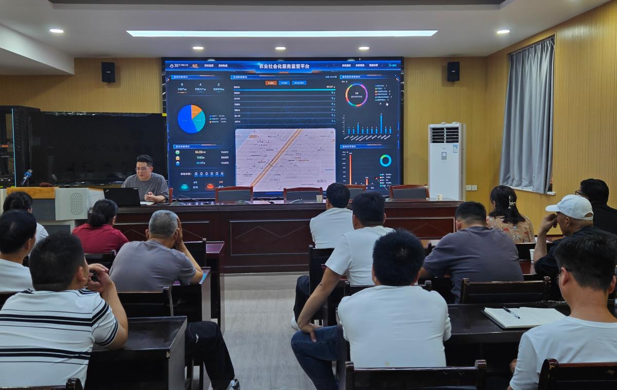 ̫���ǹ���(�й�)�������޹�˾