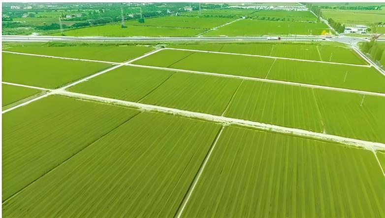 ̫���ǹ���(�й�)�������޹�˾