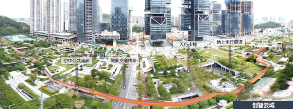 ̫���ǹ���(�й�)�������޹�˾