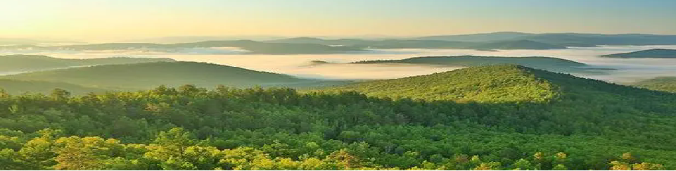 ̫���ǹ���(�й�)�������޹�˾