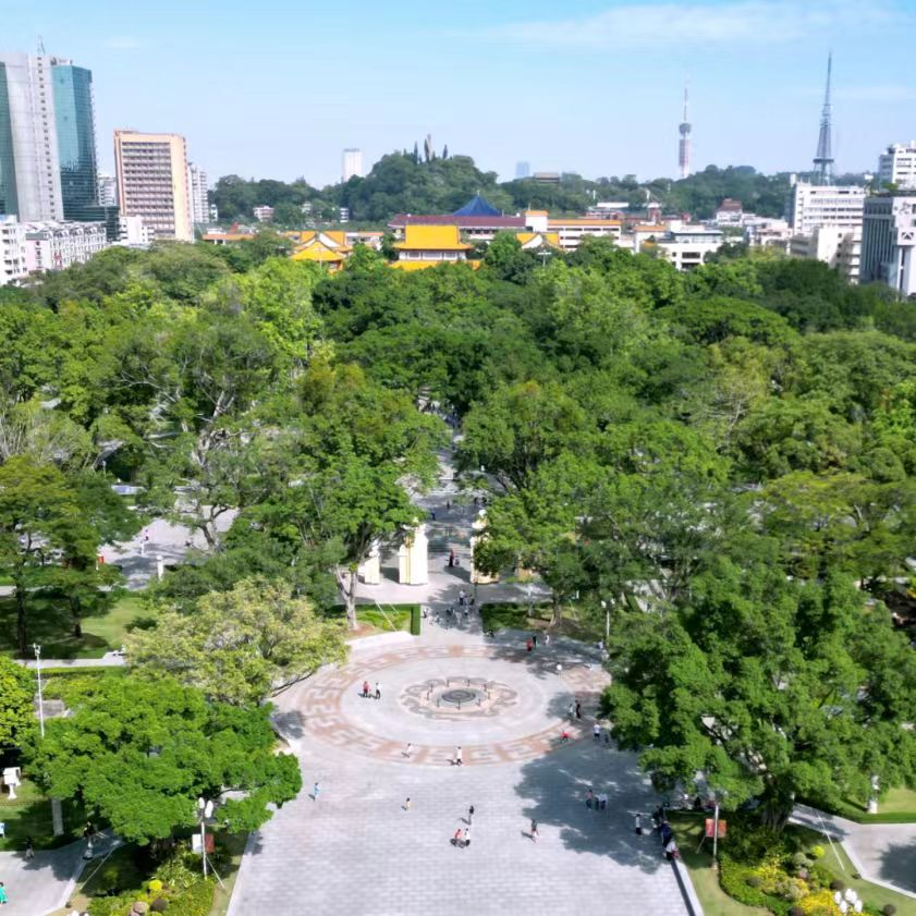 ̫���ǹ���(�й�)�������޹�˾