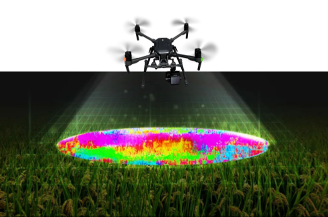 ̫���ǹ���(�й�)�������޹�˾